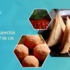 Oriental Foods – The Best Online Samosa Delivery in UK